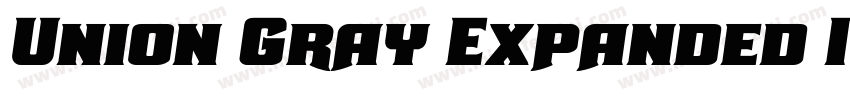 Union Gray Expanded Italic字体转换